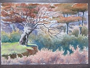 AQUARELLE ORIGINALE 1908 FORÊT D'AUTOMNE