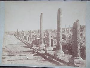 GRANDE PHOTO ANCIENNE 1890 ALGERIE TIMGAD RUINES ALLÉE