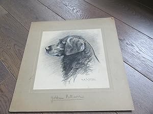 DESSIN CHASSE CHIEN SIGNE LA JARRIGE GOLDEN RETRIEVER