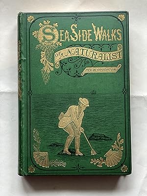 Seller image for Sea Side Walks of a Naturalist with His Children. Illustrated with eight coloured plates and numerous wood engravings. for sale by Celsus Books, PBFA.