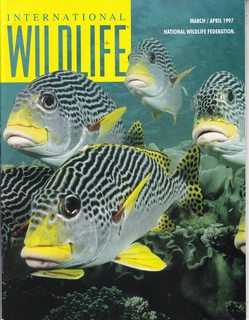 International Wildlife Magazine Vol. 27 No. 2 March/April 1997