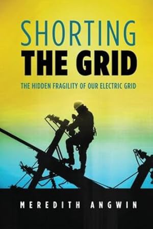 Image du vendeur pour Shorting the Grid: The Hidden Fragility of Our Electric Grid by Angwin, Meredith [Paperback ] mis en vente par booksXpress