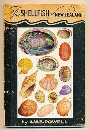 Seller image for The Shellfish of New Zealand for sale by Paradox Books USA