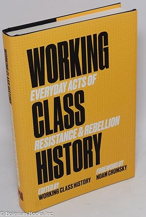 Working class history, everyday acts of resistance & rebellion. Foreword by Noam Chomsky