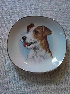 Royal Falcon Ware Parson Russell Terrier Canape Dish [Import]