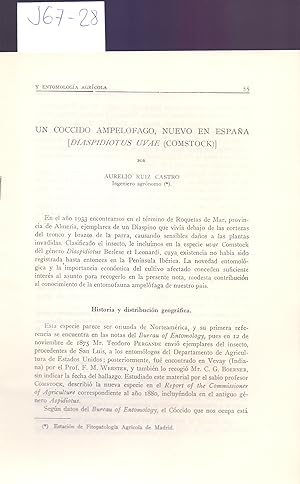 Seller image for UN COCCIDO AMPELOFAGO, NUEVO EN ESPAA (DIASPIDIOTUS UVAE (COMSTOCK) for sale by Libreria 7 Soles