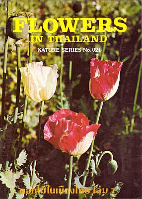 Imagen del vendedor de Flowers in Thailand a la venta por ConchBooks