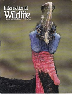 International Wildlife Magazine Vol. 24 No 6 November-December 1994