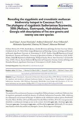 Bild des Verkufers fr Revealing the stygobiotic and crenobiotic molluscan biodiversity hotspot in Caucasus: Part I. The phylogeny of stygobiotic Sadlerianinae Szarowska, 2006 (Mollusca, Gastropoda, Hydrobiidae) from Georgia with descriptions of five new genera and twenty-one new species zum Verkauf von ConchBooks