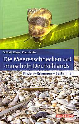Bild des Verkufers fr Die Meeresschnecken und -muscheln Deutschlands. Finden - Erkennen - Bestimmen zum Verkauf von ConchBooks