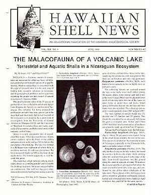 Seller image for Hawaiian Shell News (New Series), Vol. XLI No. 6 for sale by ConchBooks
