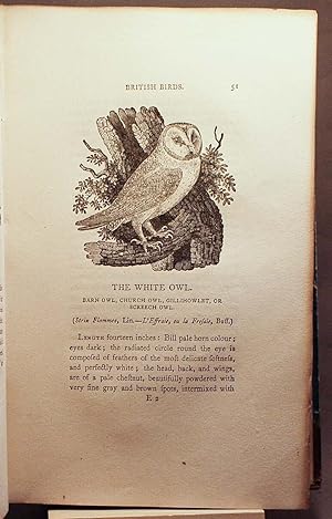 Seller image for A History of British Birds. The figures engraved on wood by T. Bewick. for sale by Rodger Friedman Rare Book Studio, ABAA