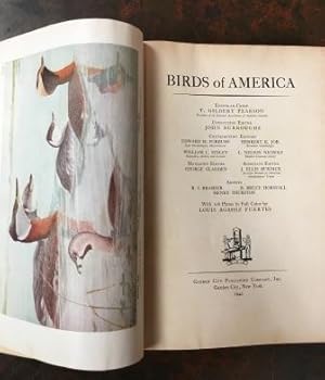 Image du vendeur pour Birds of America mis en vente par Robinson Street Books, IOBA