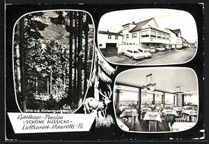 Bild des Verkufers fr Ansichtskarte Nauroth /Taunus, Gasthaus-Pension Schne Aussicht, Hinterlandswald zum Verkauf von Bartko-Reher