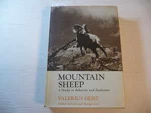 Mountain sheep : a study in behaviour and evolution