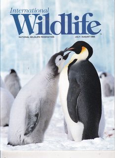 International Wildlife Magazine Vol. 25 No 4 July/August 1995