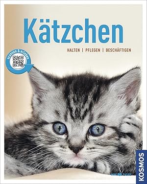 Immagine del venditore per Ktzchen: halten, pflegen, beschftigen (Mein Tier) venduto da artbook-service