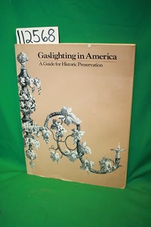 Bild des Verkufers fr Gaslighting in America a Guide for Historic Preservation zum Verkauf von Princeton Antiques Bookshop