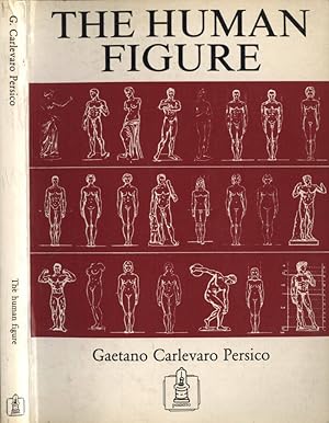 Bild des Verkufers fr The human figure zum Verkauf von Biblioteca di Babele