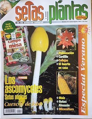 SETAS Y PLANTAS UTILES EN SU ENTORNO NATURAL. Nº 16 JUNIO-AGOSTO 1999. LOS ASCOMYCETES, SETAS ATI...