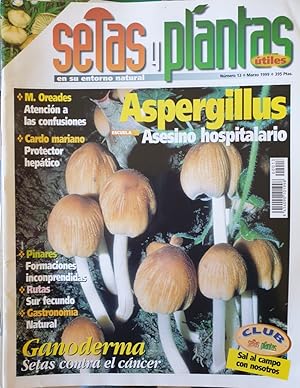 SETAS Y PLANTAS UTILES EN SU ENTORNO NATURAL. Nº 13 MARZO 1999. ASPERGILLUS, ASESINO HOSPITALARIO.
