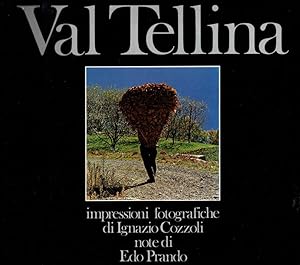 Seller image for Val Tellina for sale by Biblioteca di Babele