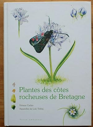 Plantes des côtes rocheuses de Bretagne
