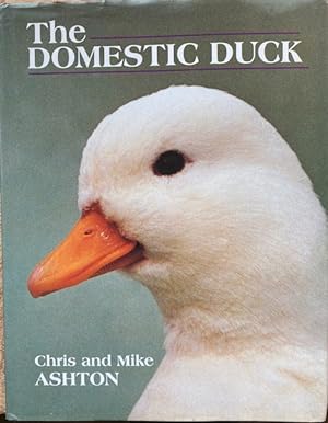 Seller image for THE DOMESTIC DUCK for sale by The Maine Bookhouse
