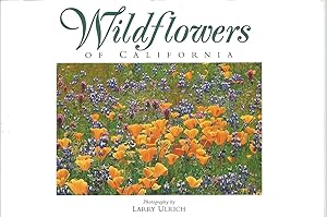 Seller image for Wildflowers of California (Twenty Postcards) for sale by The Book Junction