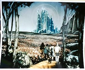 Seller image for THE WIZARD OF OZ PHOTO 11 OF 12 8'' x 10'' inch Photograph for sale by Rare Book Cellar