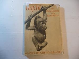 Seller image for Buschi - Vom Orang- Sugling zum Backenwlster for sale by Gebrauchtbcherlogistik  H.J. Lauterbach