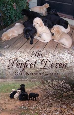 Seller image for The Perfect Dozen for sale by GreatBookPrices