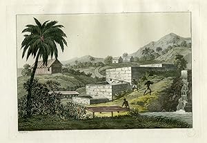 Antique Print-INDIGO-MANUFACTURE-MEXICO-PL.LI.-Ferrario-Fumagall-c.1827