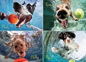 Bild des Verkufers fr Underwater Dogs: Play Ball Jigsaw (Hardcover) zum Verkauf von Grand Eagle Retail