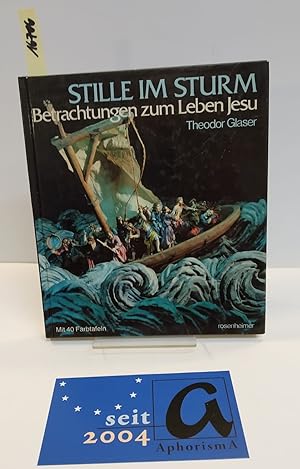 Imagen del vendedor de Stille im Sturm. Betrachtungen zum Leben Jesu. a la venta por AphorismA gGmbH