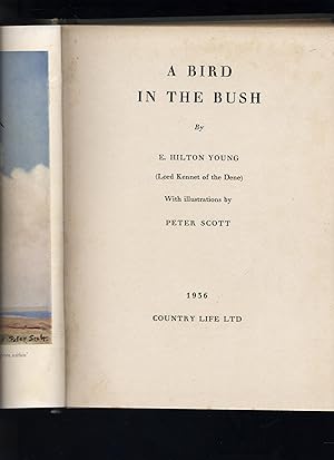 Imagen del vendedor de A Bird in the Bush a la venta por Calluna Books