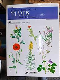 El gran libro de las plantas. Especies de Europa.