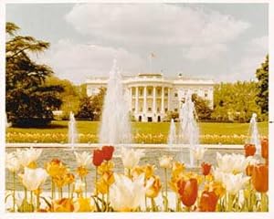 Original official White House photograph of White House, lawn, fountain and flower beds.