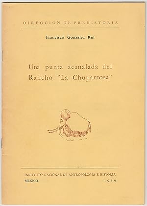 Una punta acanalada del Rancho "La Chuparrosa"