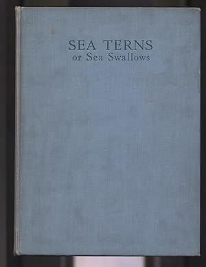 Image du vendeur pour Sea Terns or Sea Swallows: Their habits, language, arrival and departure mis en vente par Calluna Books