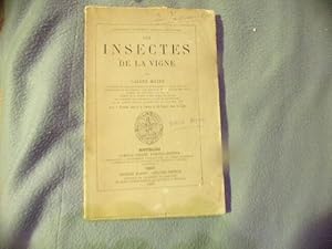 Les insectes de la vigne