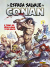 BIBLIOTECA CONAN. LA ESPADA SALVAJE DE CONAN 06