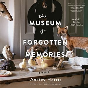 Imagen del vendedor de Museum of Forgotten Memories : A Novel a la venta por GreatBookPrices