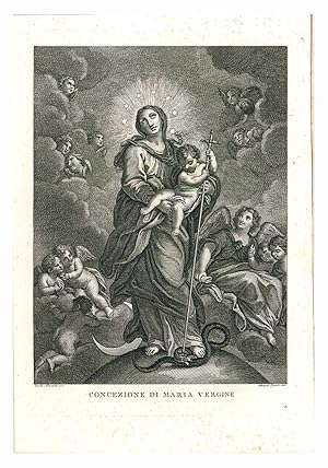 Bild des Verkufers fr Vita della SS. Vergine Maria Madre di Dio dedicata all'ill.mo e rev.mo monsignore Ferdinando Minucci arcivescovo di Firenze zum Verkauf von Libreria Alberto Govi di F. Govi Sas