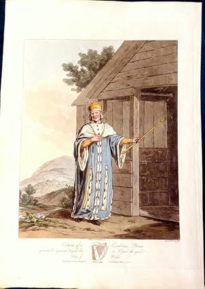 Costume of a Cambrian Prince (Hynvel dda Or Hynwel the Good). Hand Coloured Aquatint 1812.