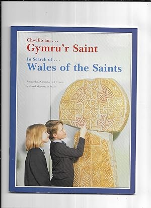 Image du vendeur pour Chwilio am . Gymru'r Saint : In Search of Wales and the Saints mis en vente par Gwyn Tudur Davies
