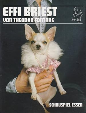 Seller image for Programmheft Theodor Fontane EFFI BRIEST Premiere 7. November 2008 Grillo Theater Spielzeit 2008 / 2009 for sale by Programmhefte24 Schauspiel und Musiktheater der letzten 150 Jahre