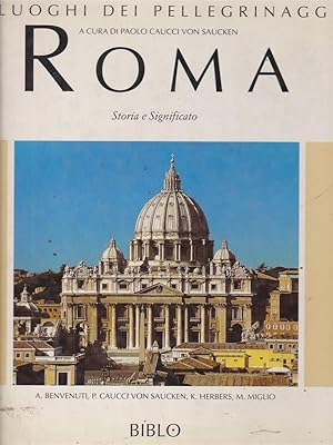 Seller image for I luoghi dei pellegrinaggi: Roma for sale by Librodifaccia