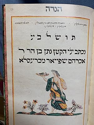 Seller image for Passover Haggadah for sale by Bryn Mawr Bookstore