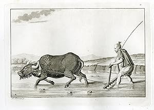 Antique Print-AGRICULTURE-TRADITIONAL-CHINA-PL.XLI.-Ferrario-Rancati-c.1827